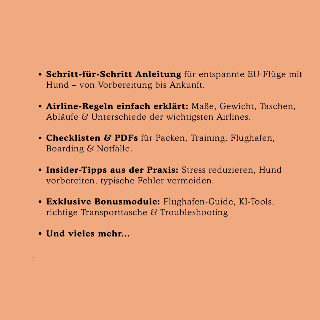 Fliegen mit Hund in der EU – Der  Video Komplettkurs