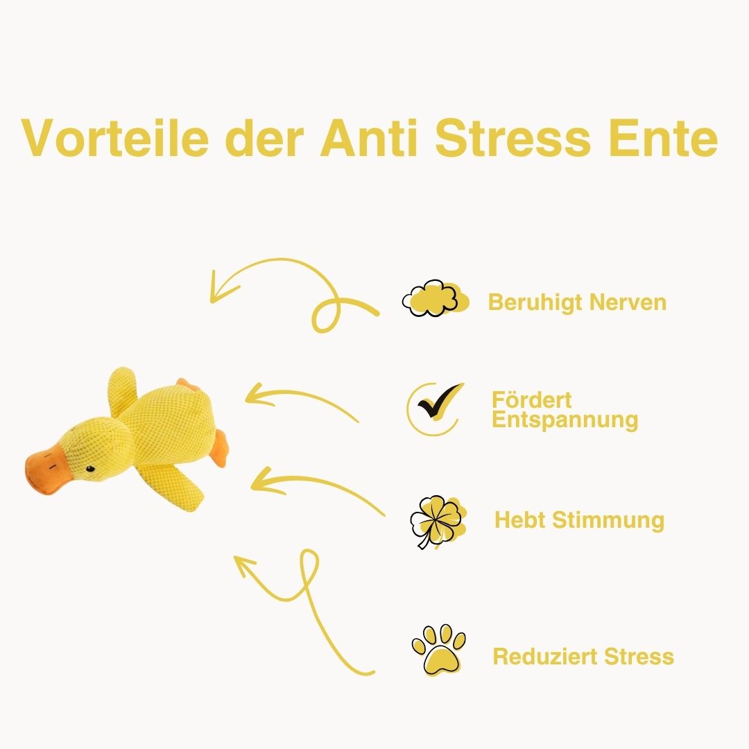 Anti-Stress Ente