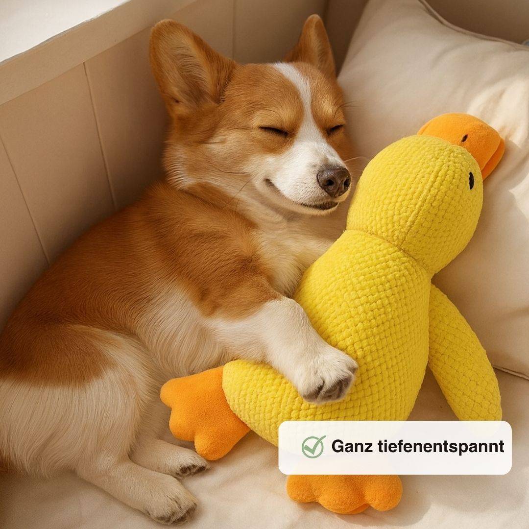 Anti-Stress Ente