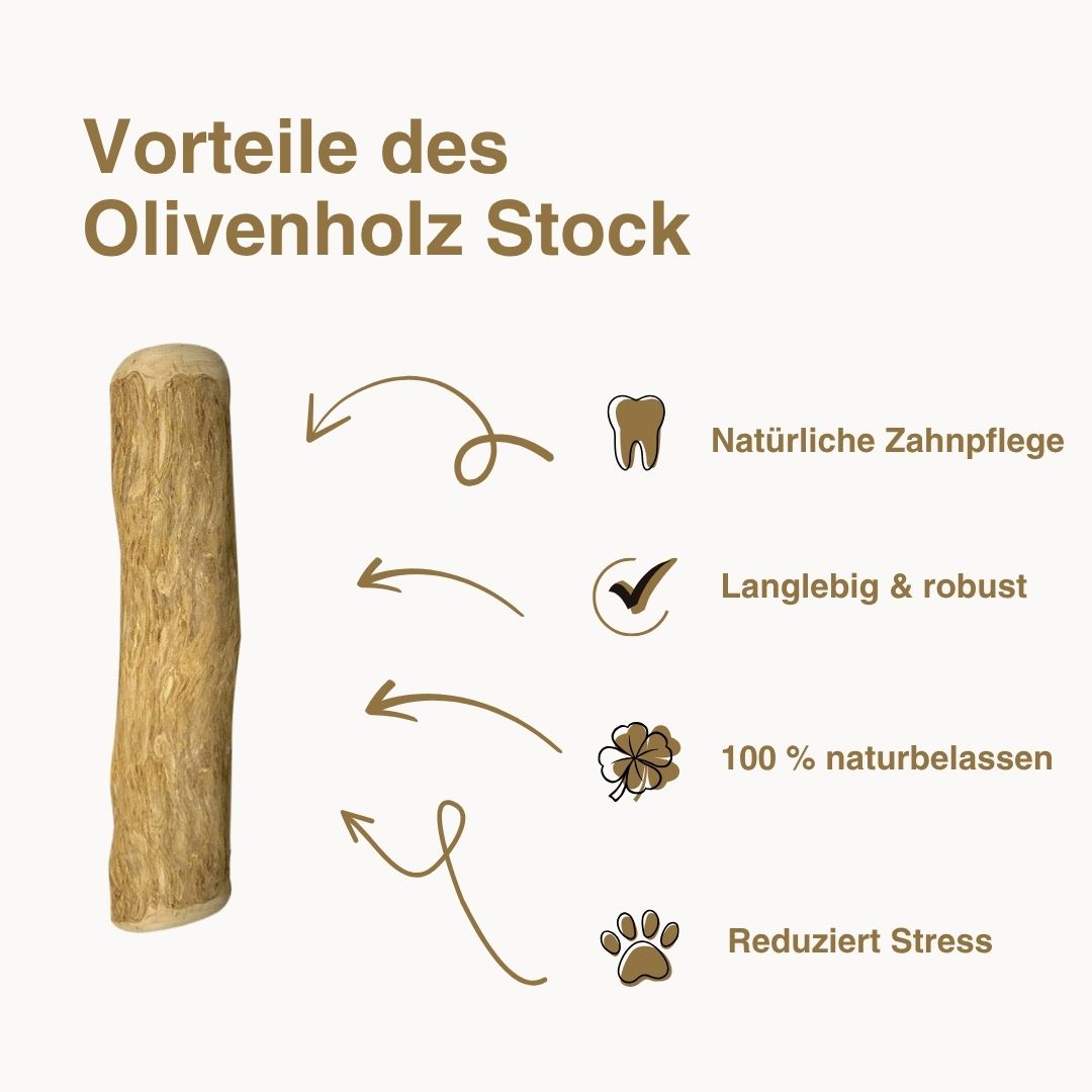 Olivenholz Stock