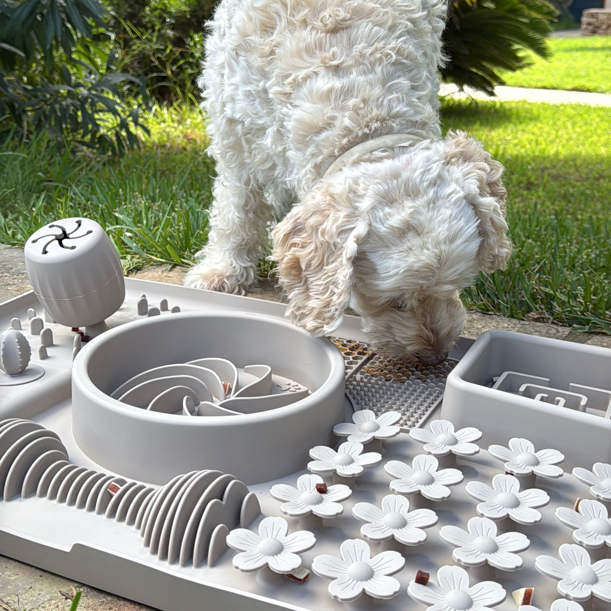 4-in-1 Problemlöser bei Unruhe, Stress & Schlingen (XXL)