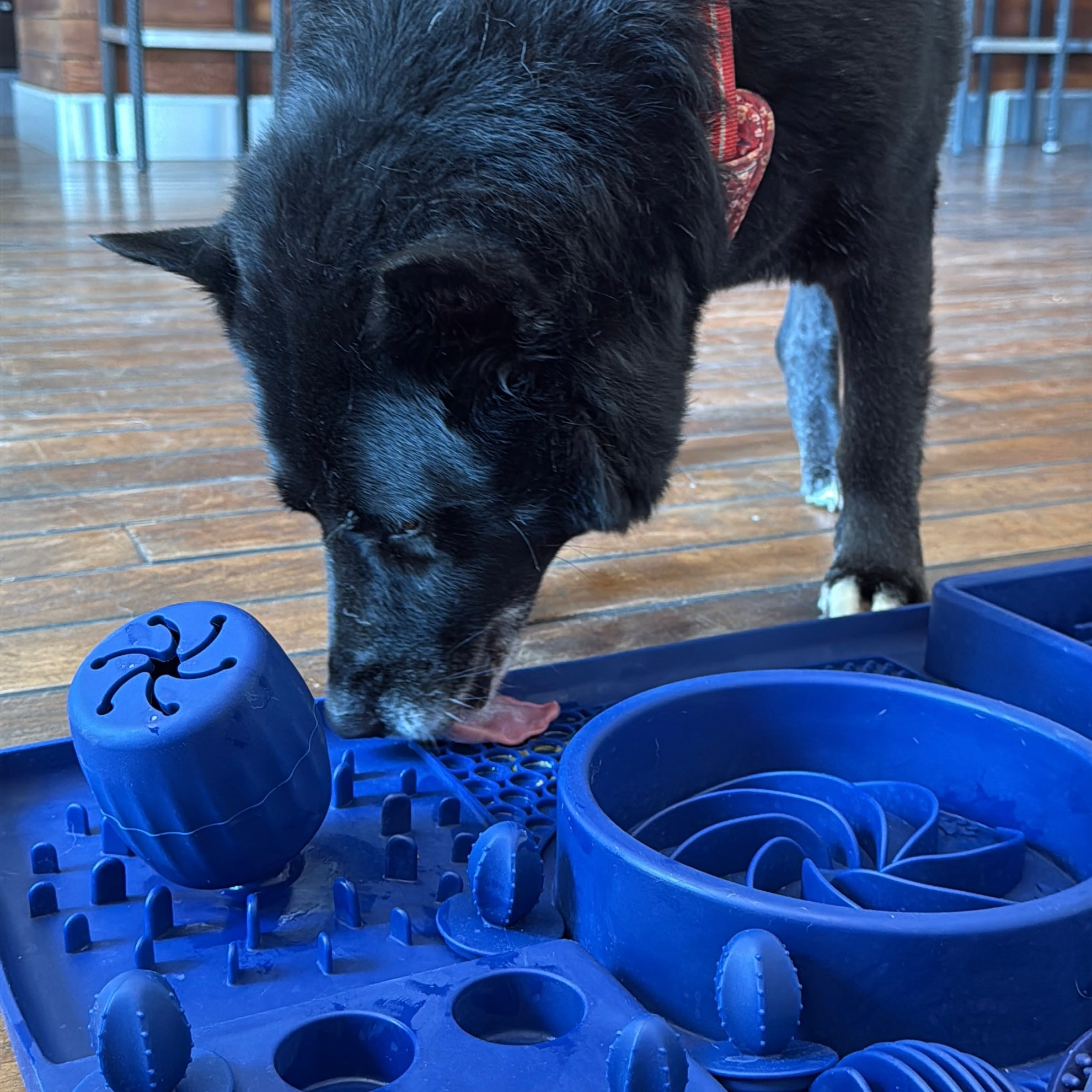 4-in-1 Problemlöser bei Unruhe, Stress & Schlingen (XXL)