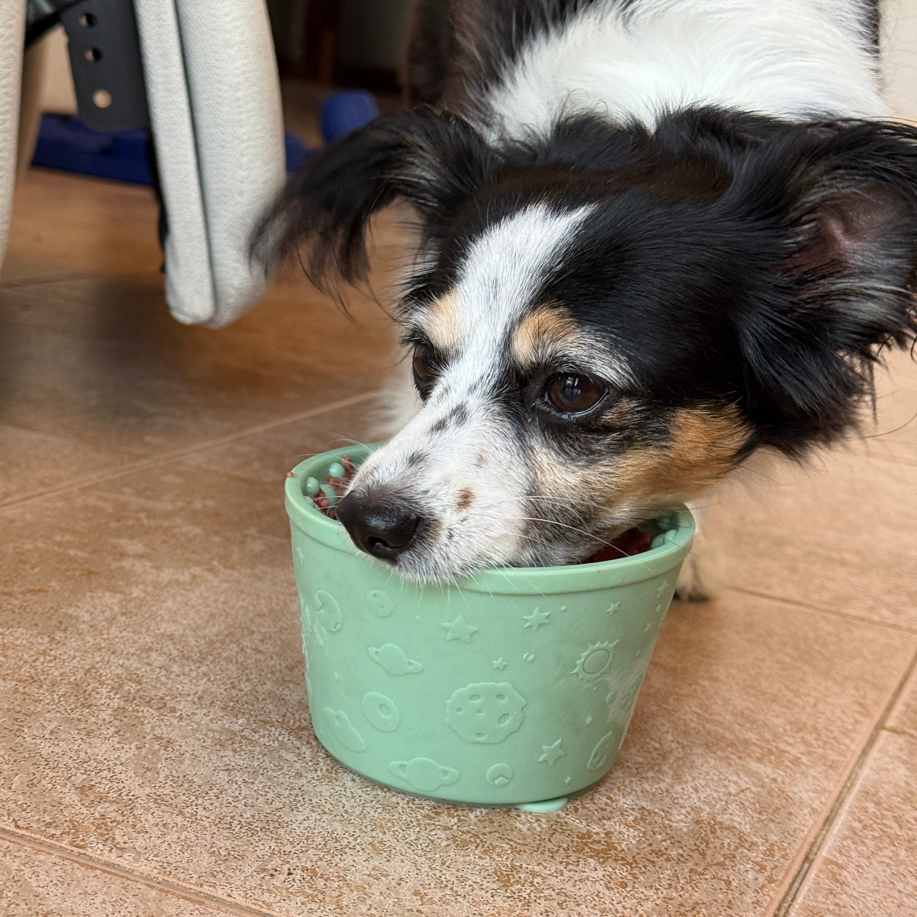 Cheery Cup – Leckbecher