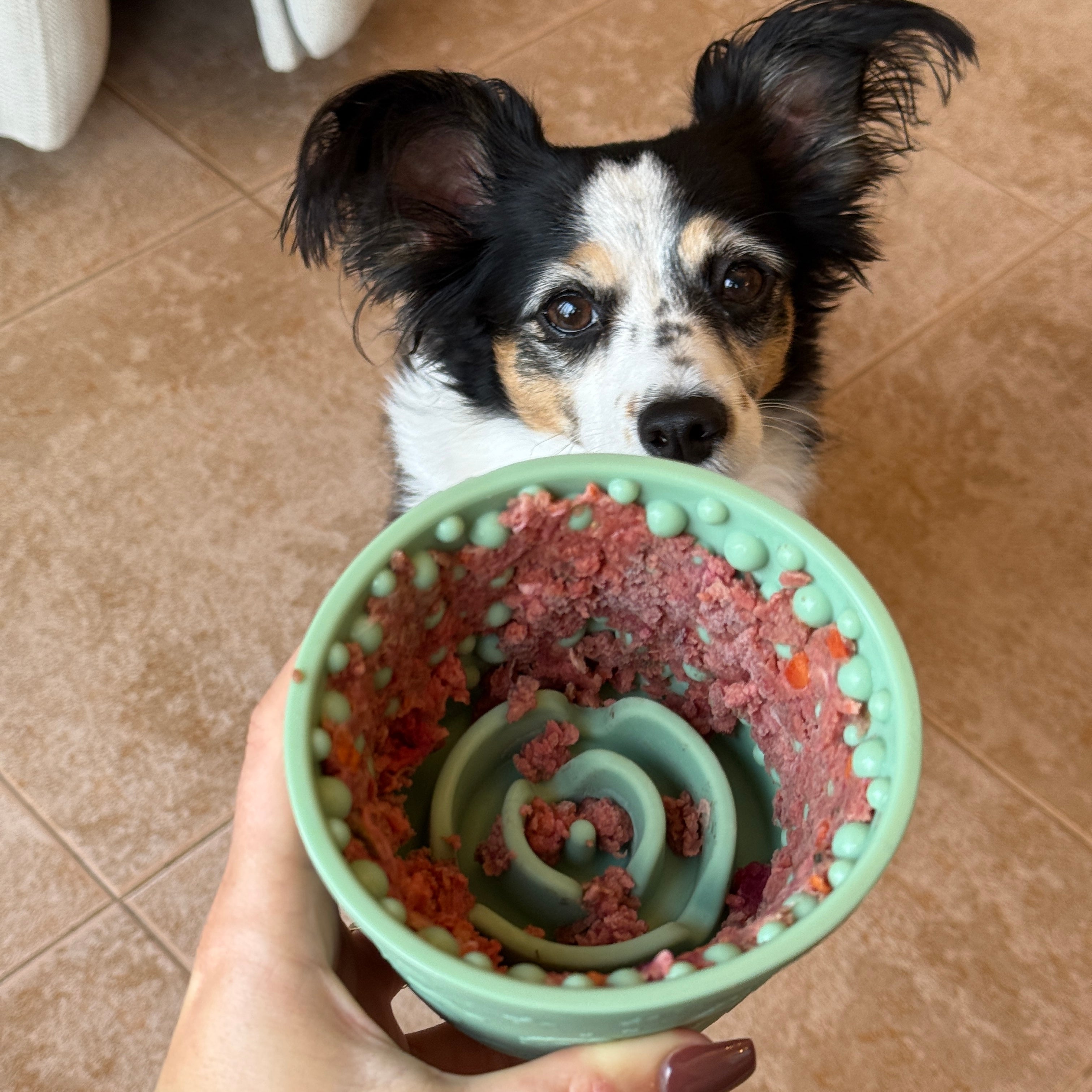 Cheery Cup – Leckbecher