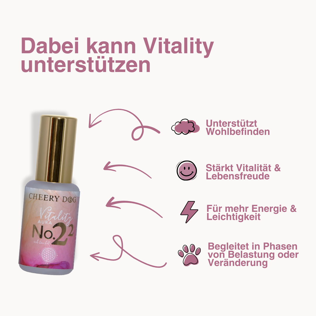 Australien Shepherd spielt mit dem Cheery Dog 4-in-1 Hundespielzeug“