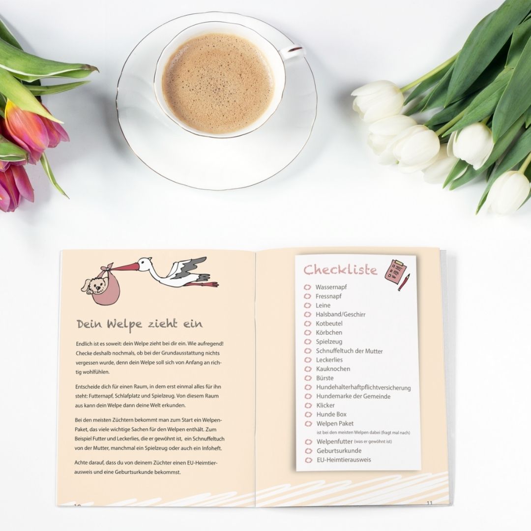 Ringbuch Welpen 1x1 von Cheery Dog mit Tipps und Do’s & Don’ts