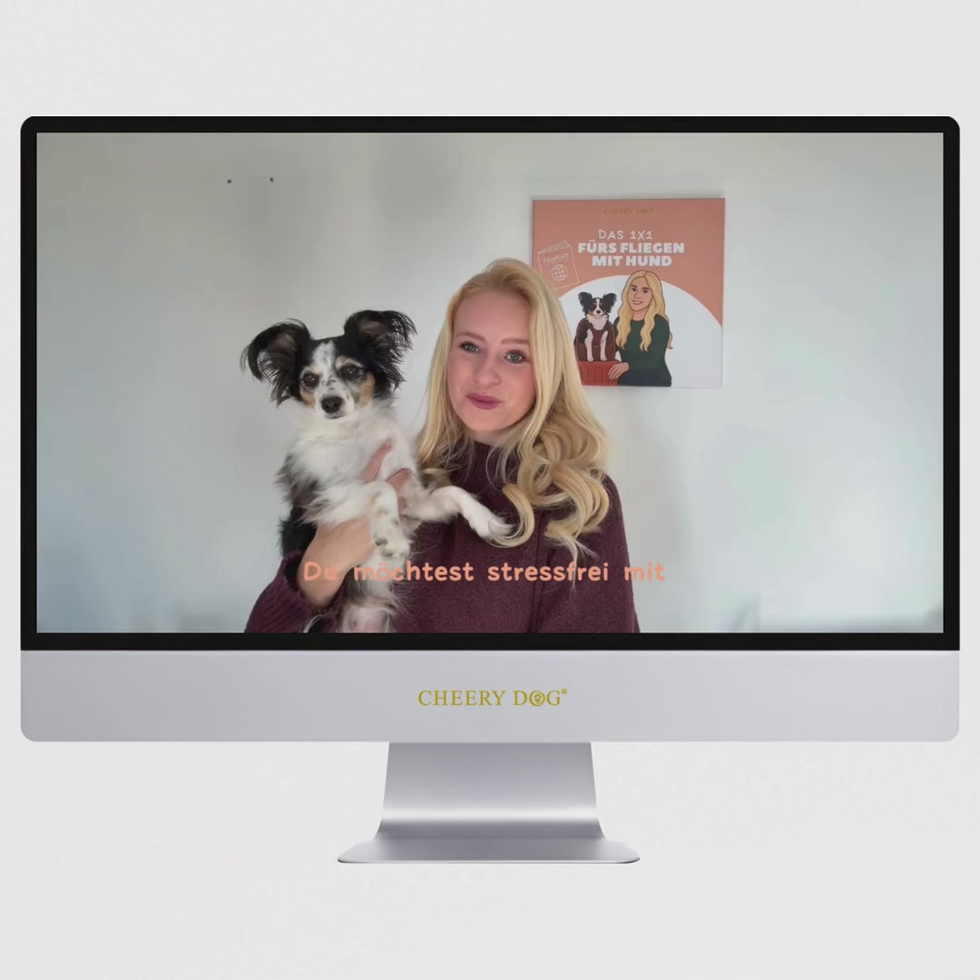 Fliegen mit Hund in der EU – Der Video Komplettkurs