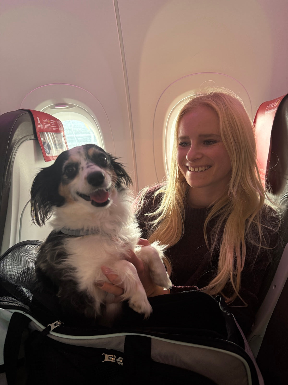 Seli mit Hündin Meadow im Flugzeug